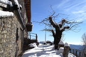 Salita invernale in Resegone il 19 febbraio 2011 - FOTOGALLERY